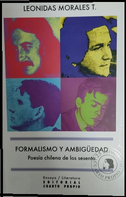 formalismo y ambiguedad1