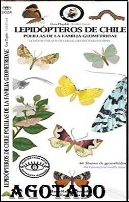 lepidopteros agotado